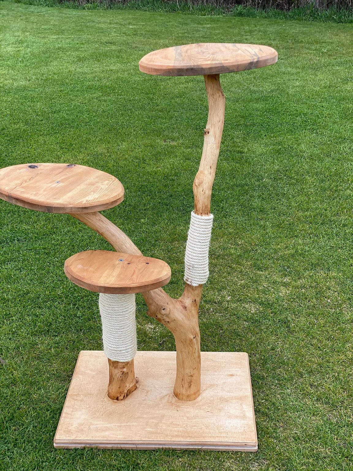 Baum Nr. 02 – Bild 3